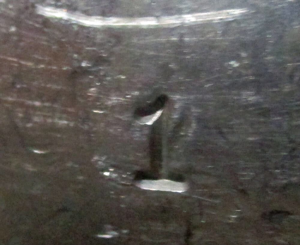 Close Up
