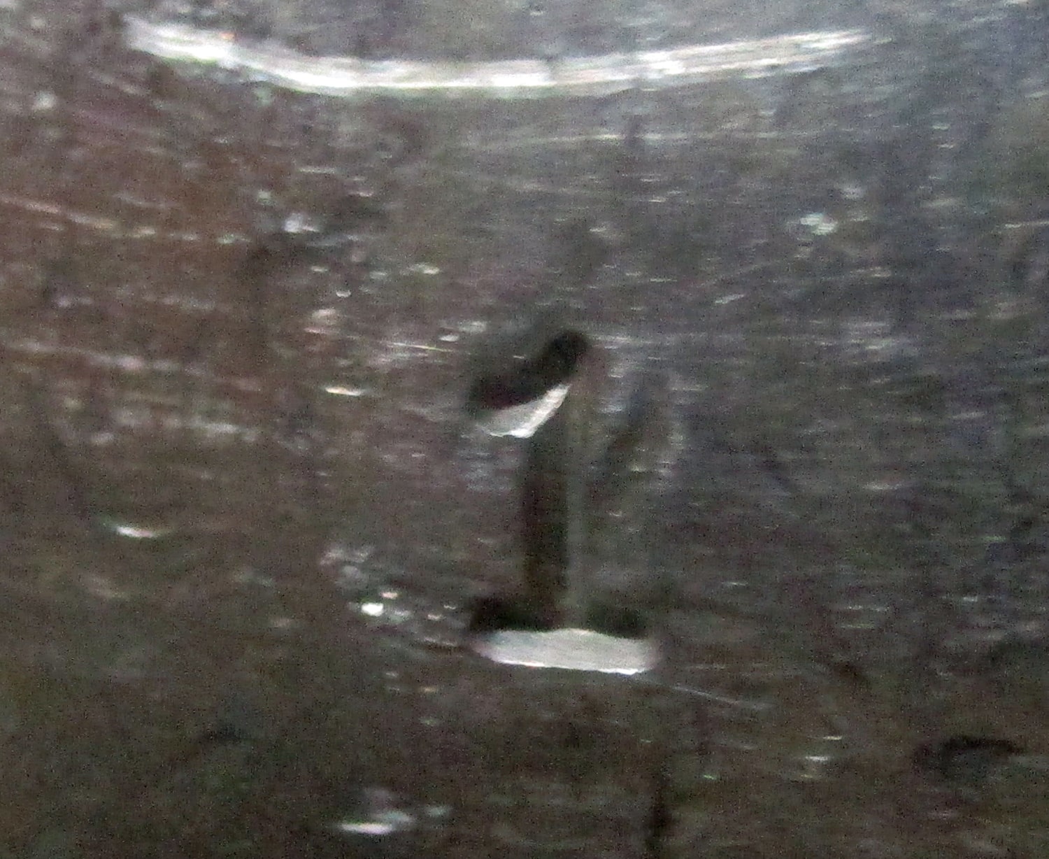 Close Up