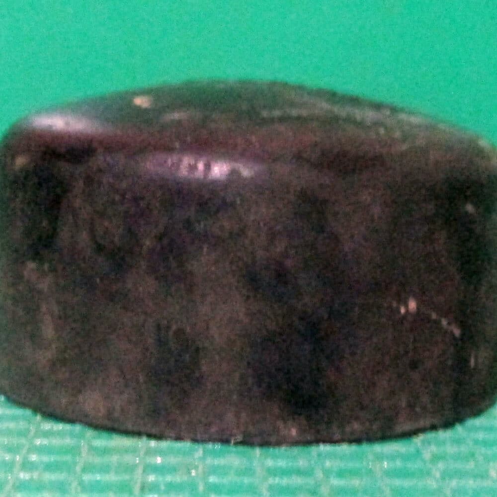 Fly Guard For Single Shot Pulsator