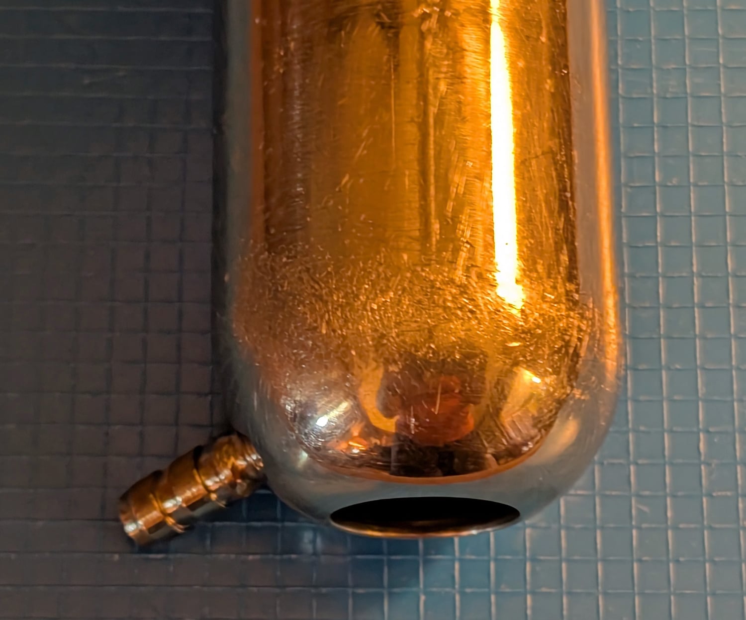 Heavy Shell, 5 1/2&Amp;Quot;L