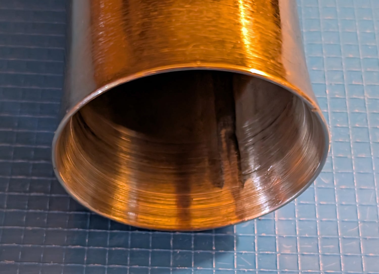 Heavy Shell, 5 1/2&Amp;Quot;L