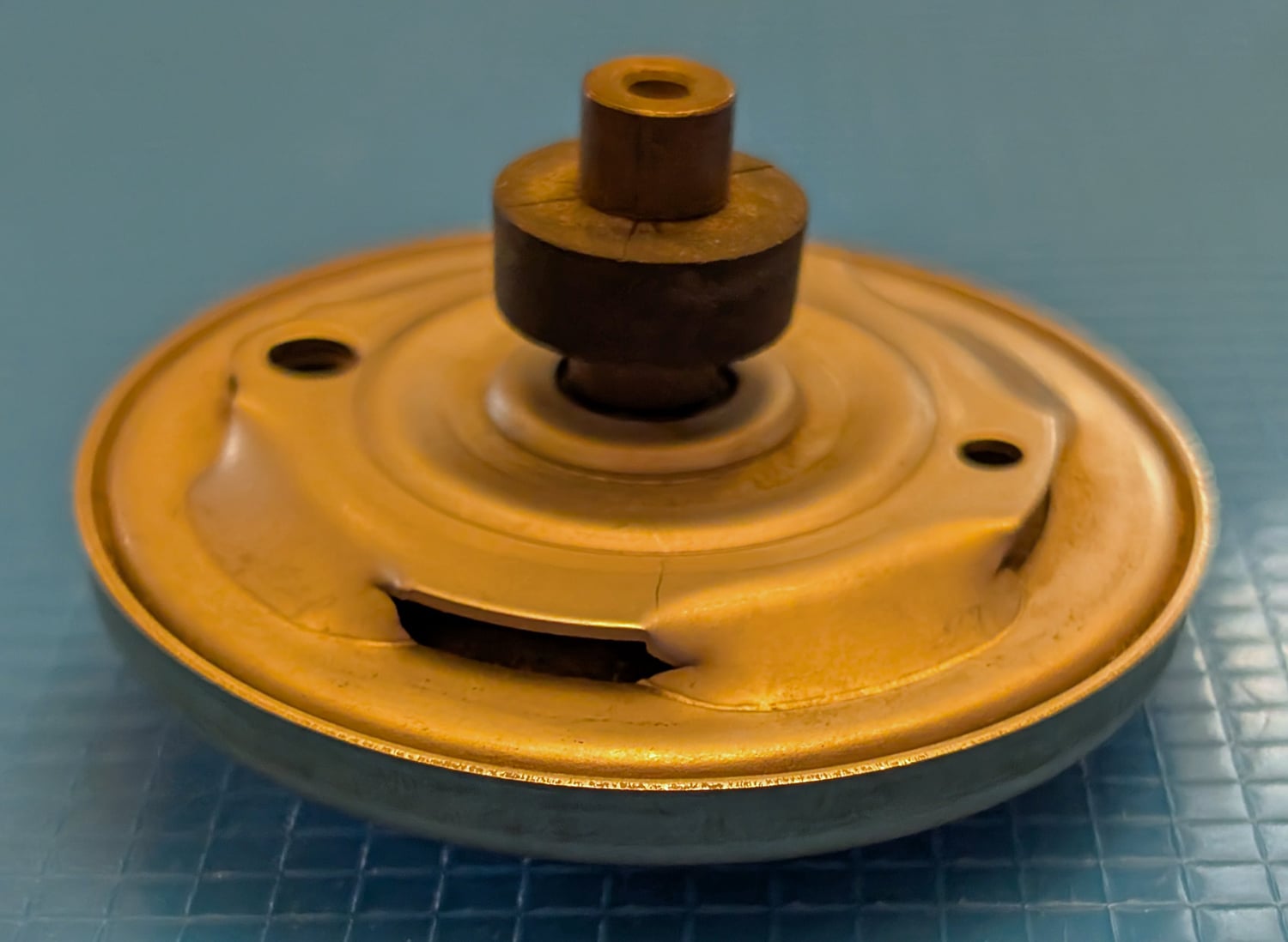 Diaphragm/Plunger, Left