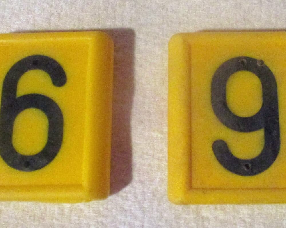 number 6 or 9 for collar identification main photo