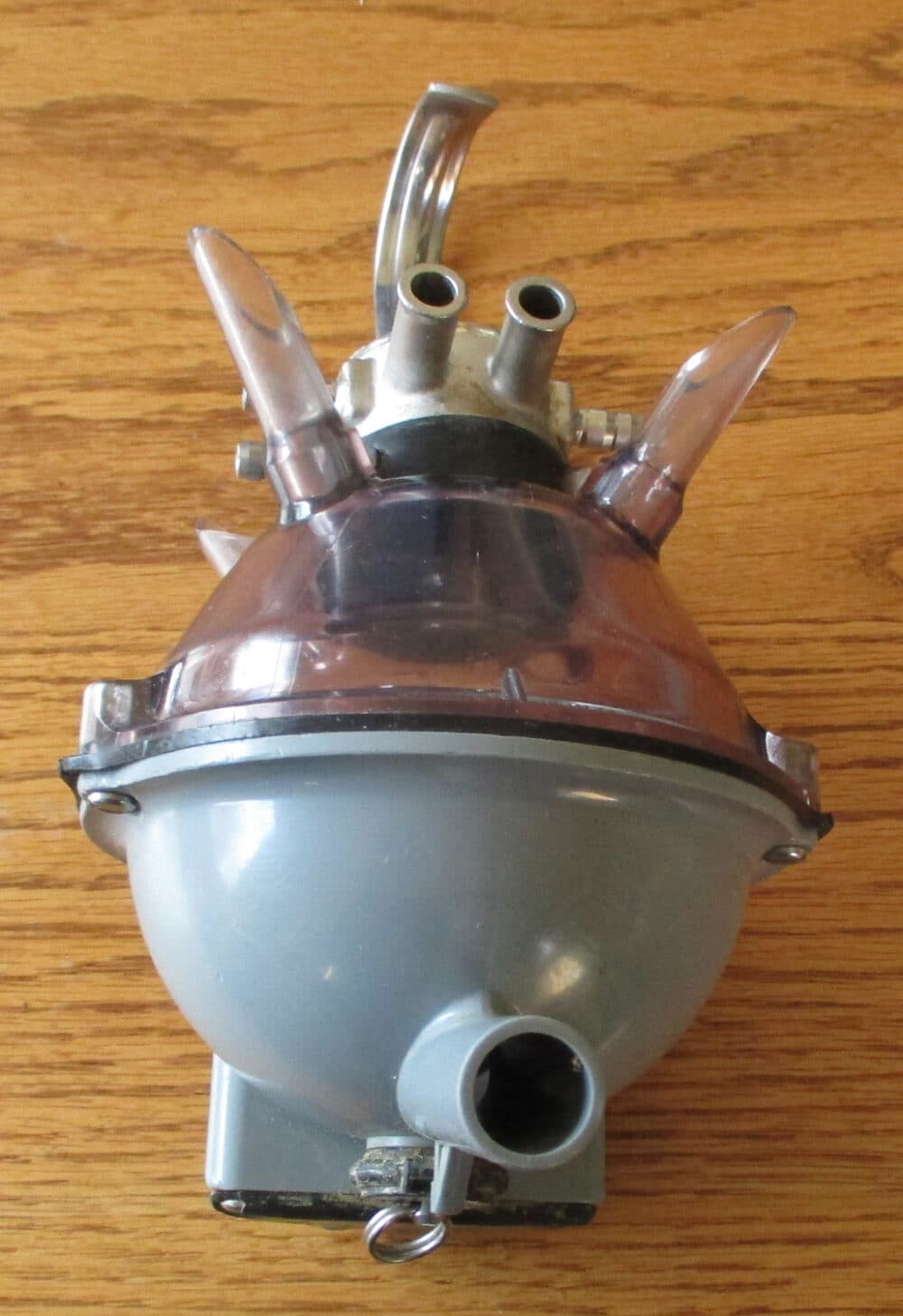 Claw - Back View