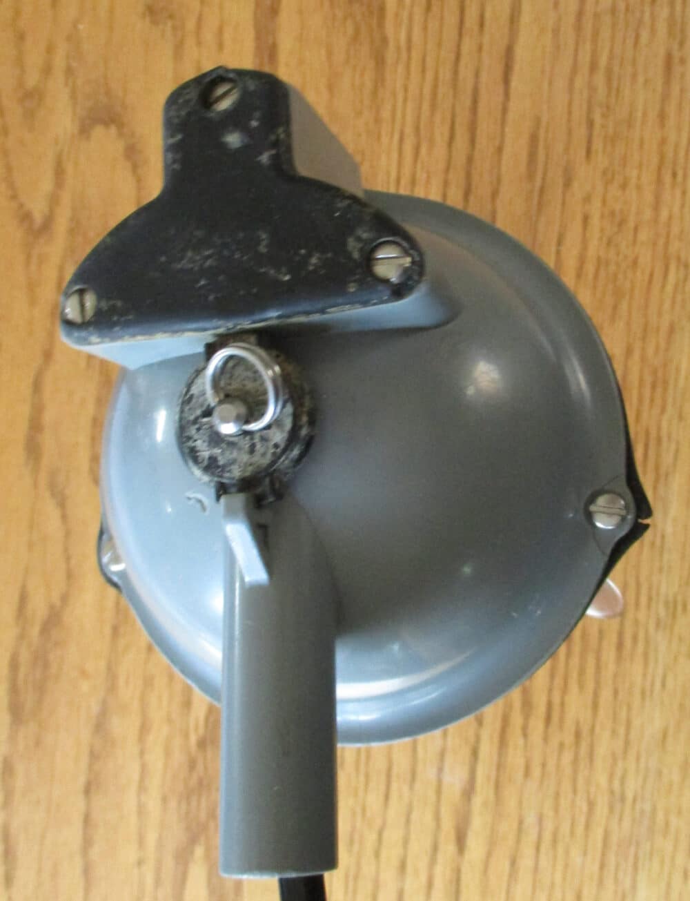Claw - Bottom View