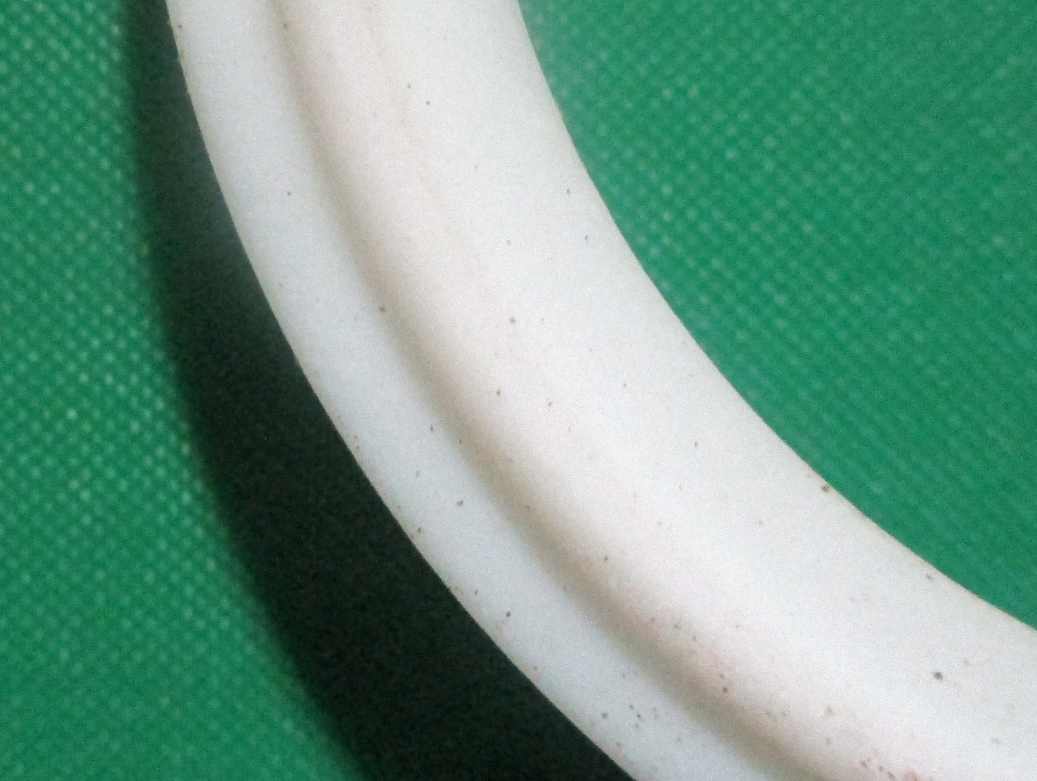 Gasket, Tri-Clover Teflon for 2" Pipe 6 close up