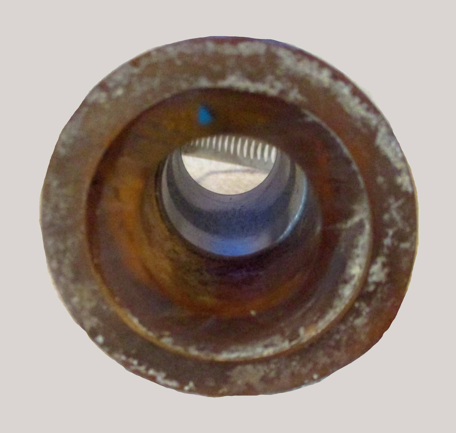 Nipple Strap-On w/#28 Clamp 5 3/8"L o/all 8 close up