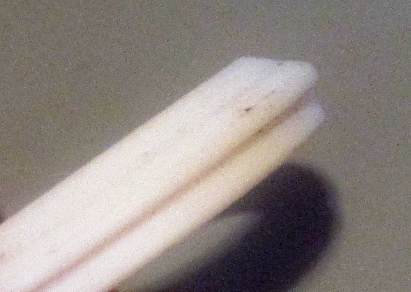 Gasket, Teflon for 1 1/2" Pipe 5 close up