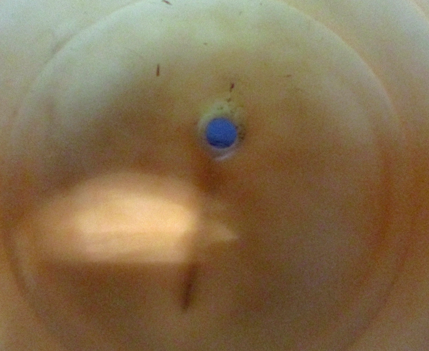 Jar, Trap, Zero w/Gasket 7 close up