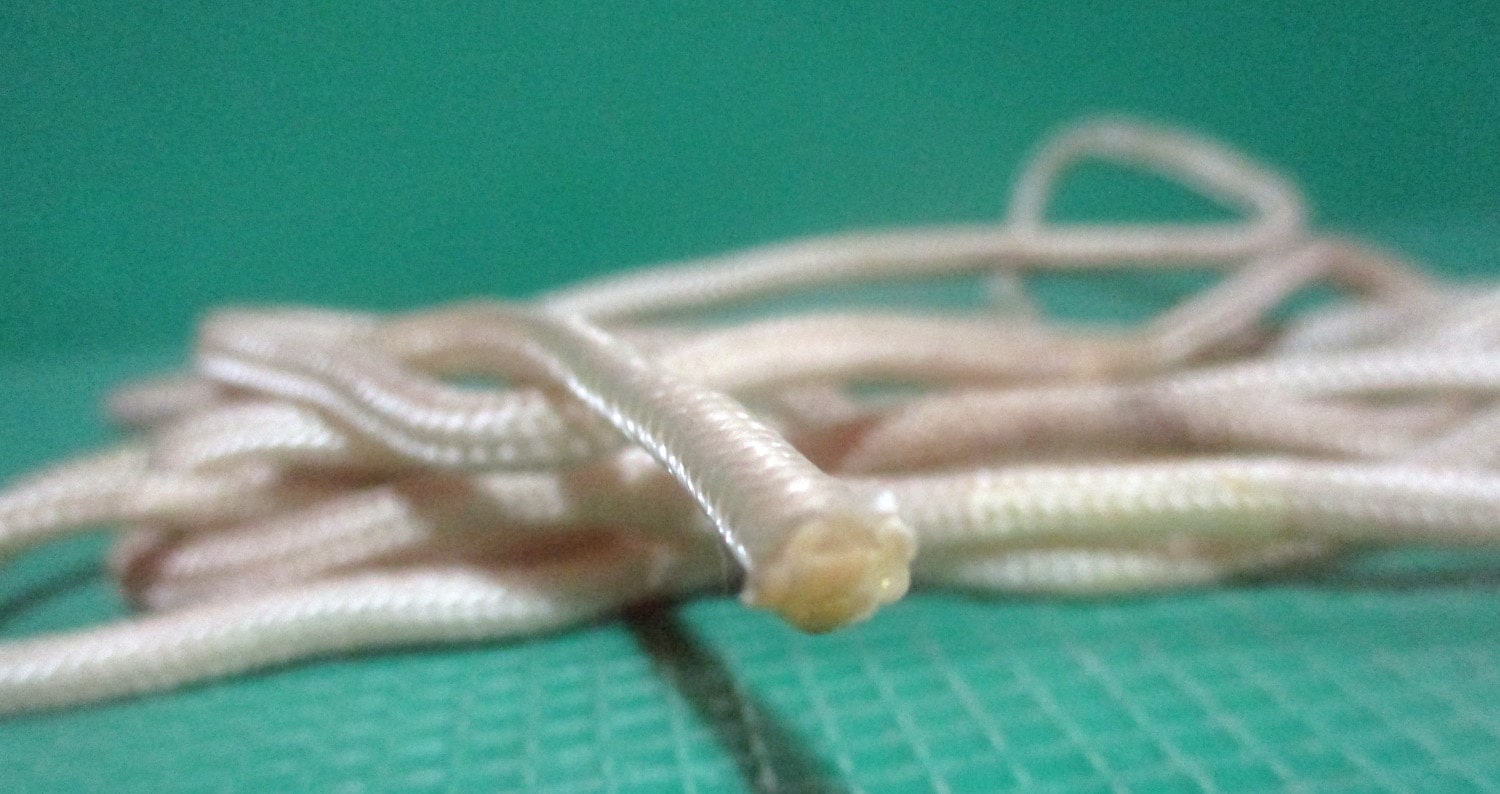 Nylon Cord, 7' 1/2"L 4 Nylon Cord, 7' 1/2"L
