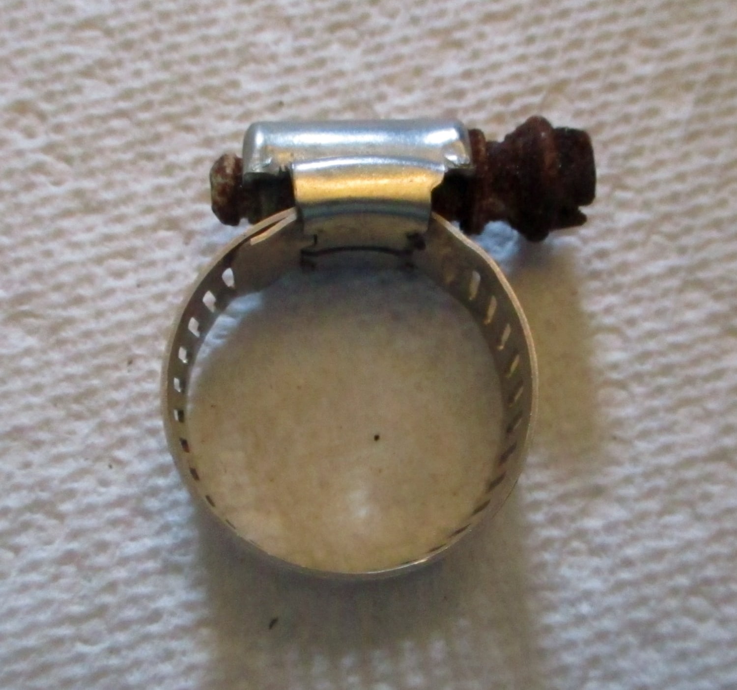 Clamp, #8 Hose - Image 9