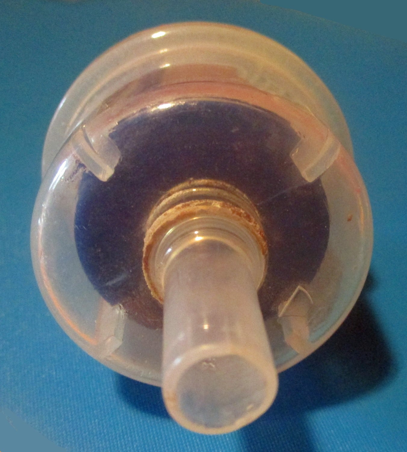 Filter, Future Cow 5 close up