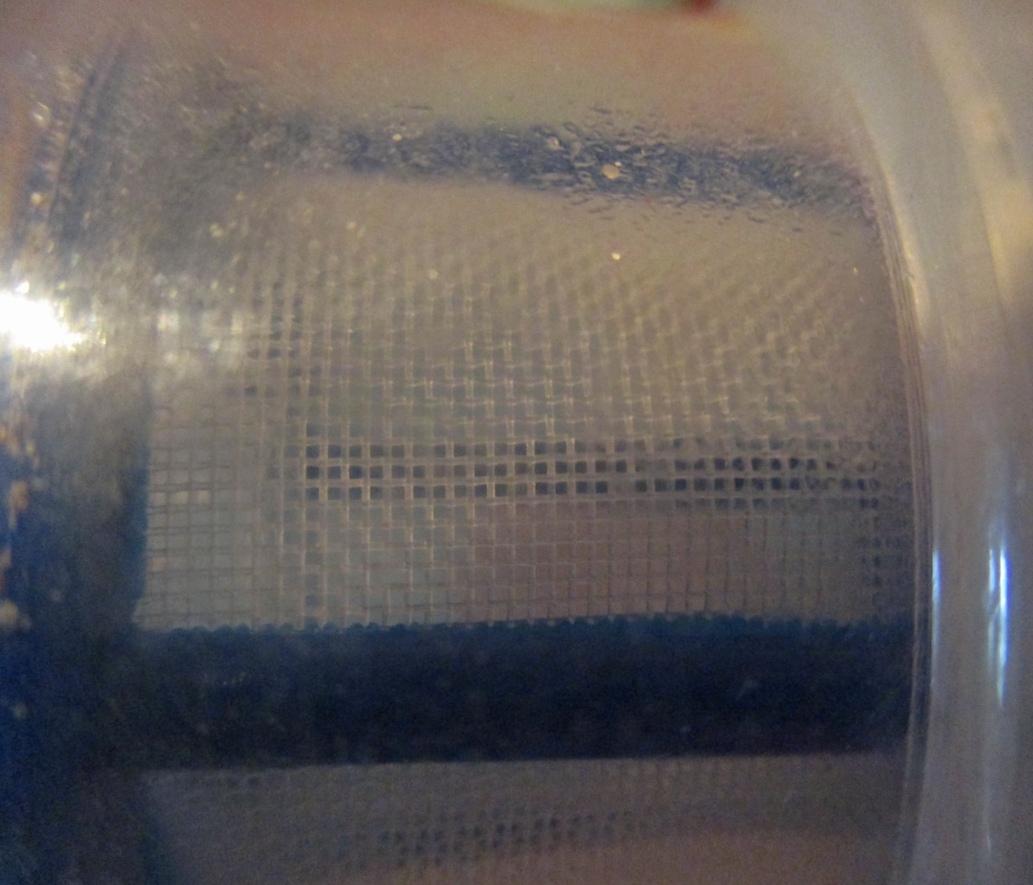 Filter, Future Cow 6 close up