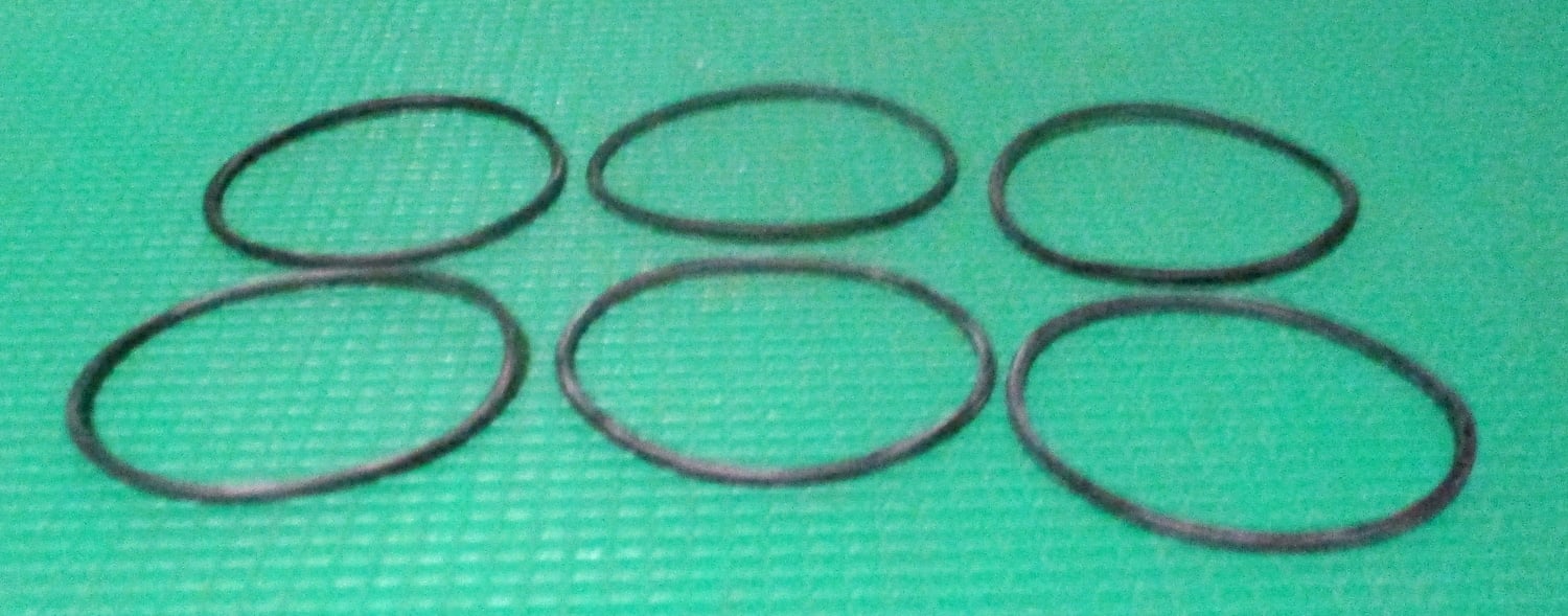 O rings For Vision 2000 Mastitis Detector, Pkg/6