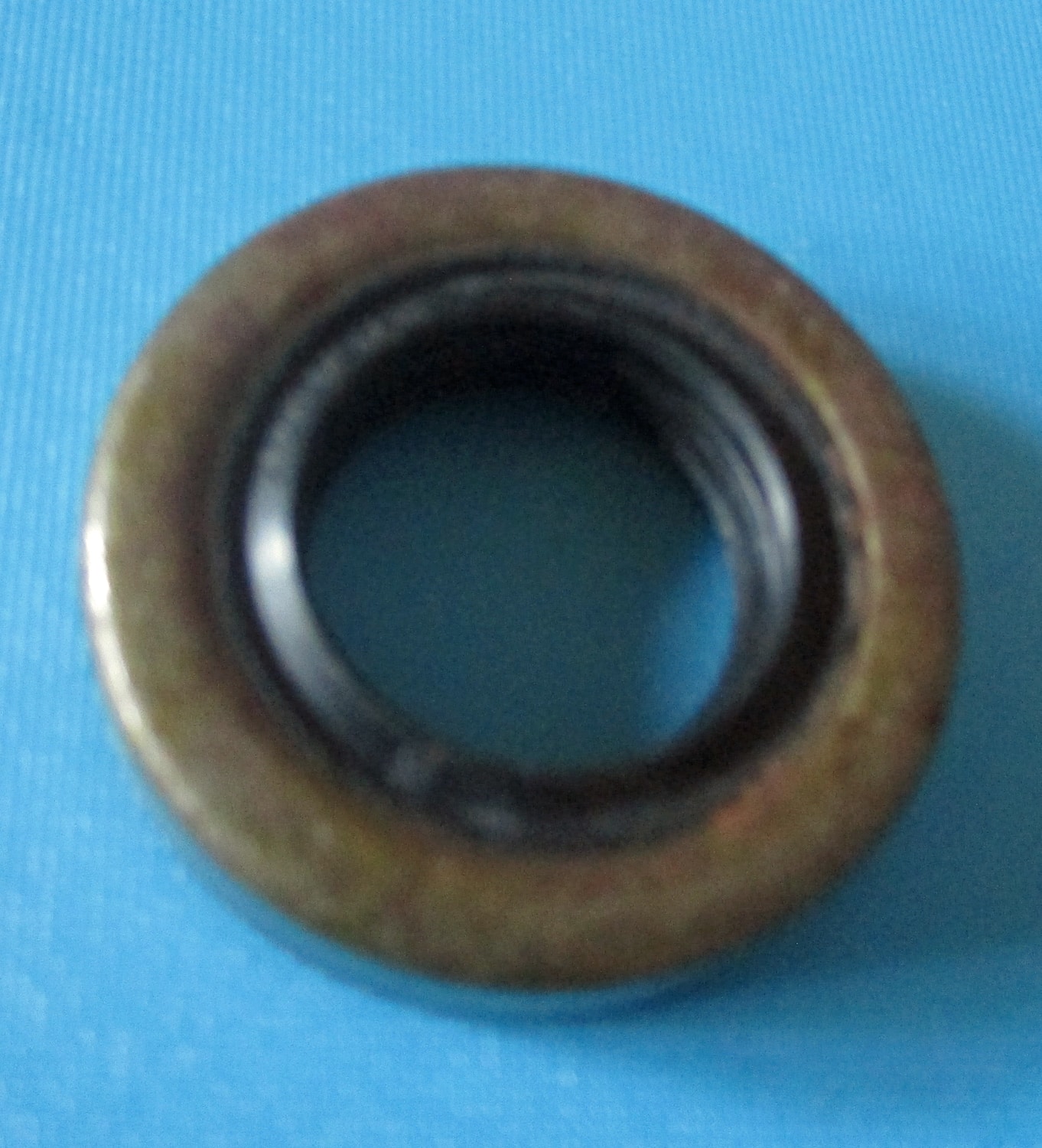 Oil Seal