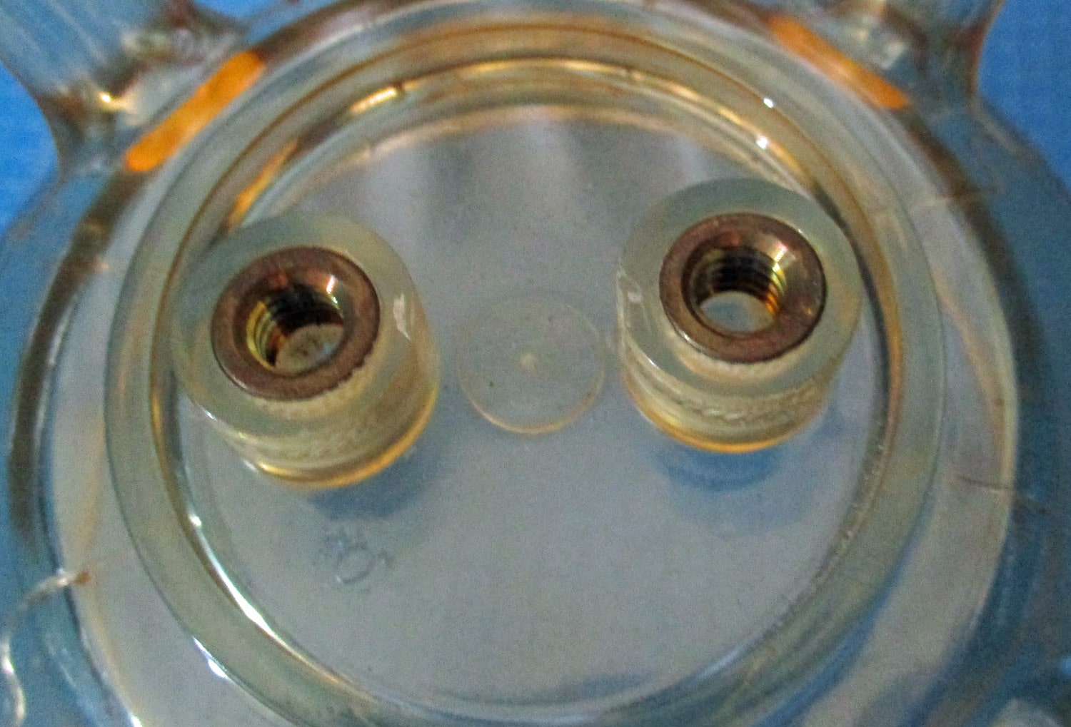 Universal Claw Top - Image 4