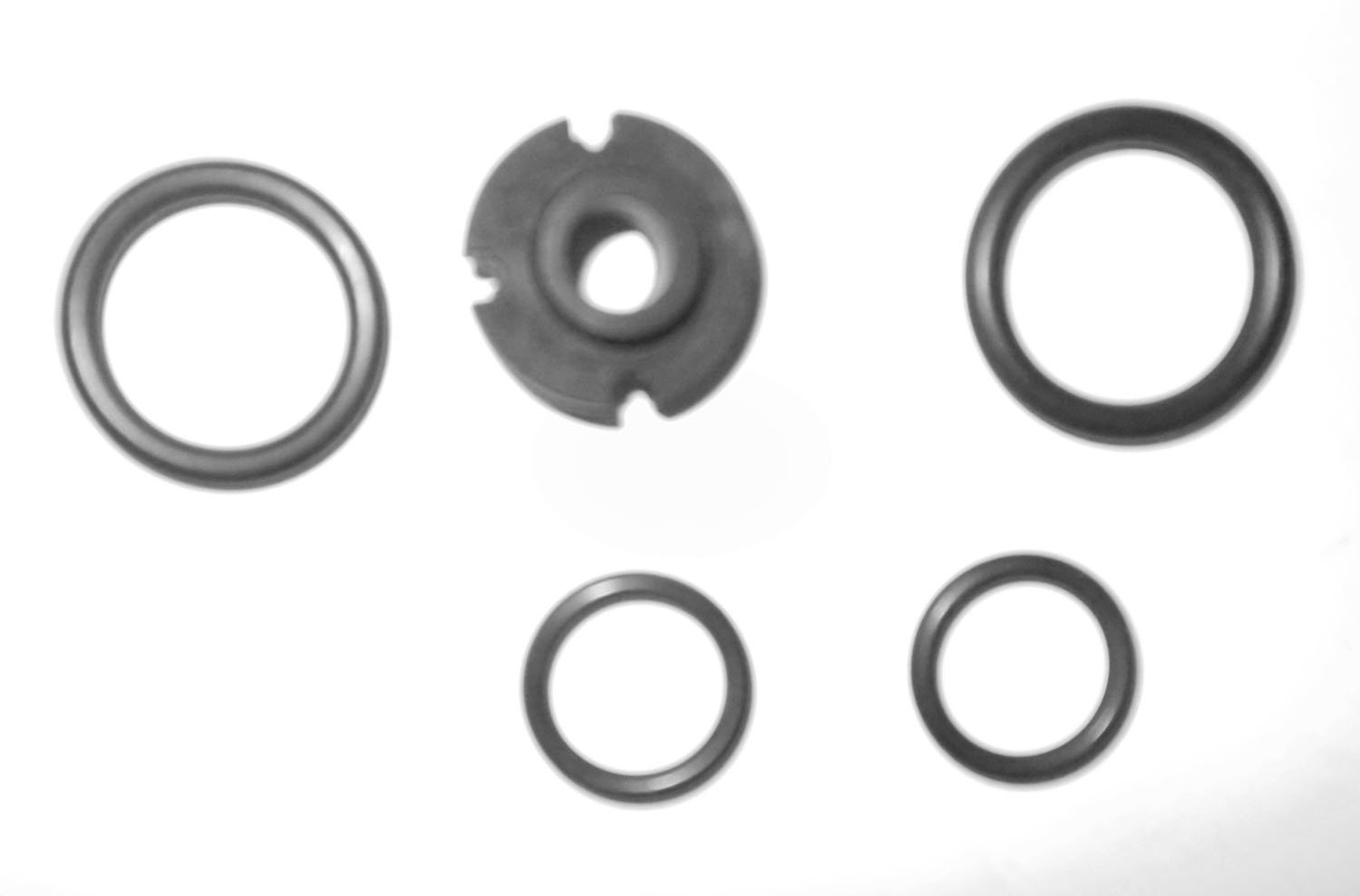 Tru Test Service Kit w/4 O rings & Grommet 4 Gasket 13/16" OD-1 1/8" OD Tru Test Kit