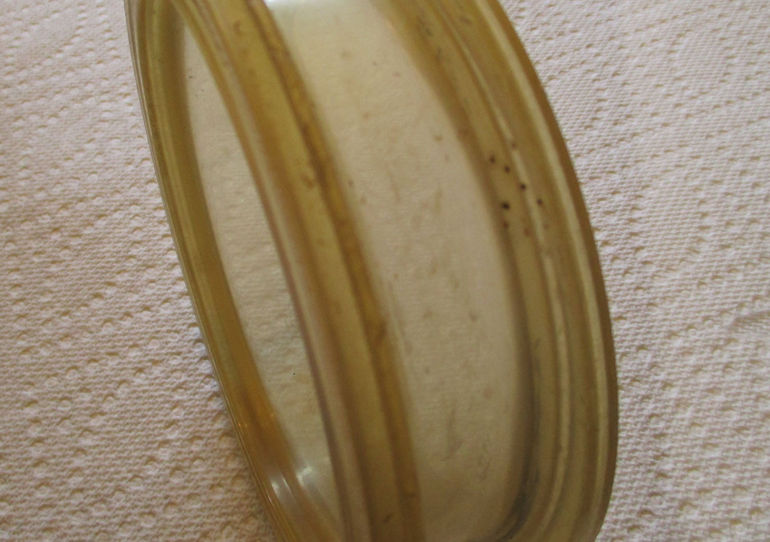 Bowl Mini Cup Plastic