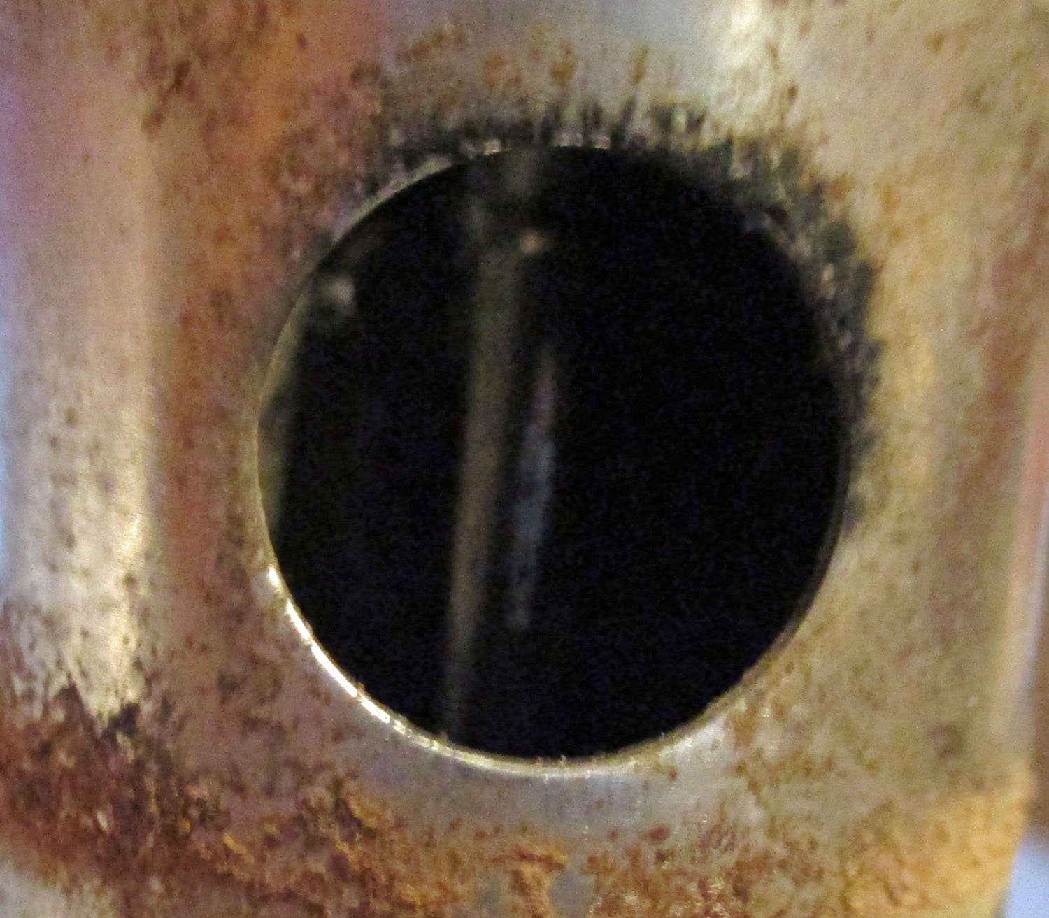 Tee with Rod & Plunger, 1 1/2" 9 Tee 1 1/2" with Rod & Plunger