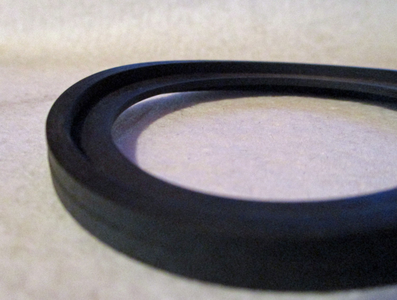 Gasket, 2" for Surge Ferrule 5 Gasket 2" for a Surge Ferrule