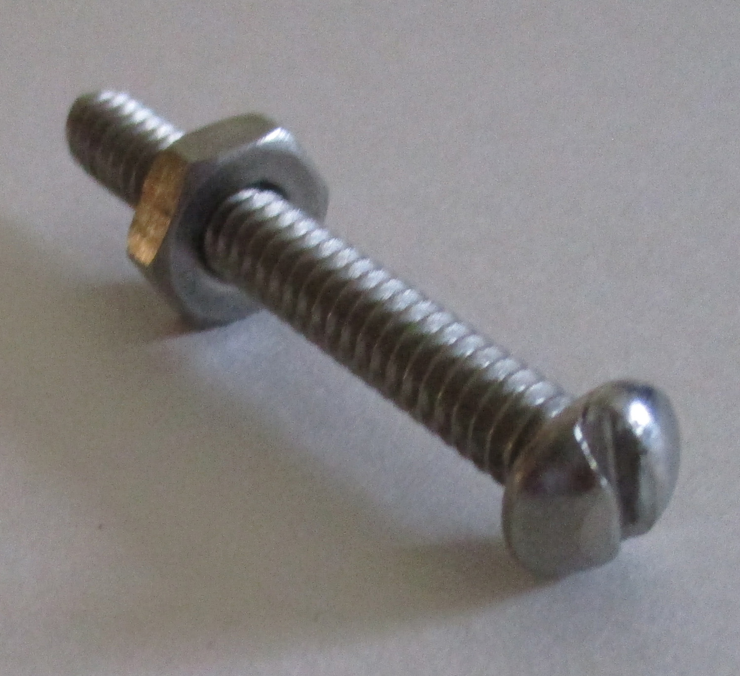 Bolt W/Nut, Ss Pn Sl, 1 9/16&Amp;Quot;L #10-24 Thd Sz