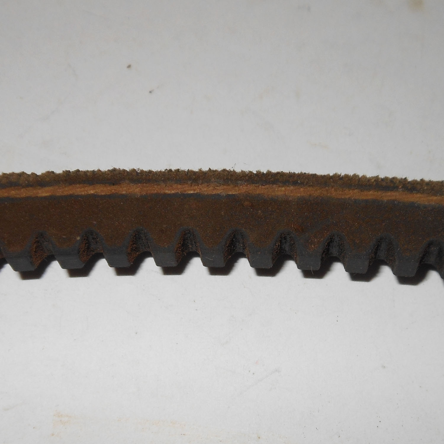 Belt 3VX-600 Vacuum 19 1/2"OD 4 Belt 3VX-600 Vacuum 19 1/2"OD