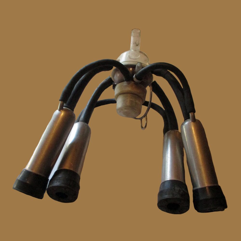 Claw Nupulse W/Pulsator &Amp; Shells