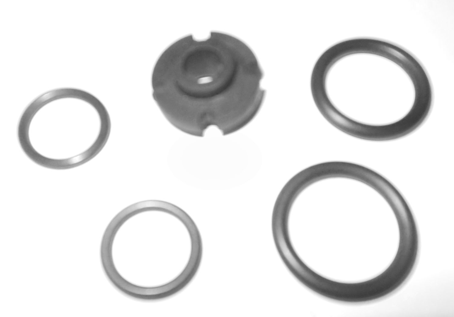 Tru Test Service Kit w/4 O rings & Grommet 3 Gasket 13/16" OD-1 1/8" OD Tru Test Kit