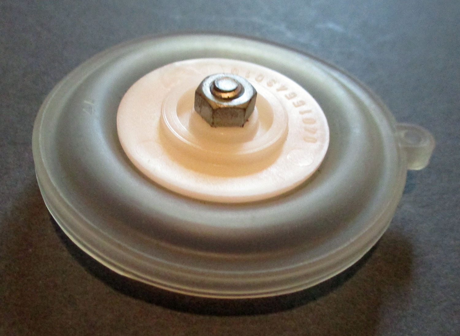 Gasket W/Ring Metatron 2 3/16&Amp;Quot;Od