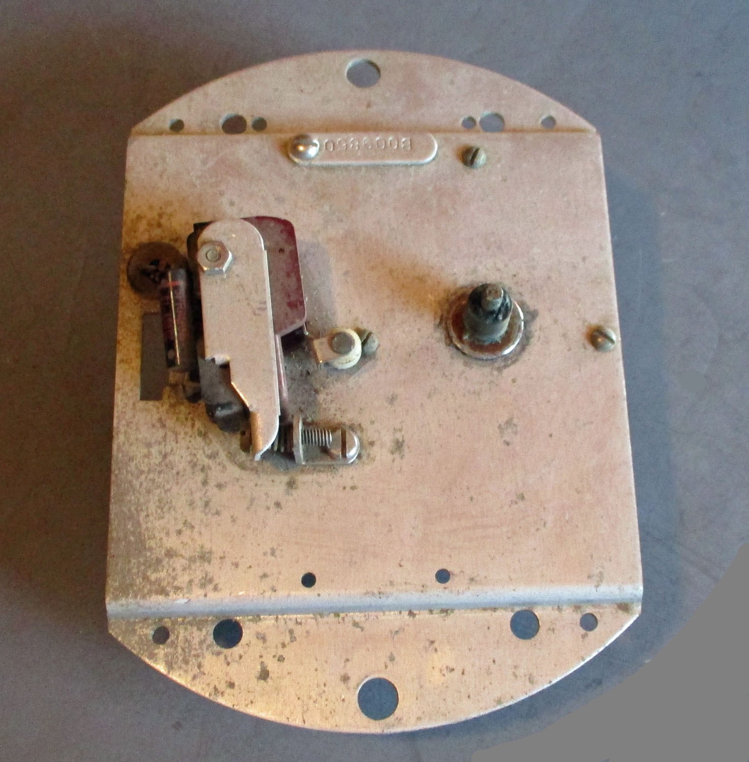 Timer & Plate Old Style for Randall Arm
