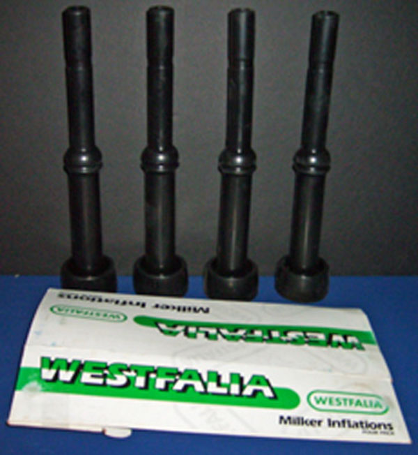 Westfalia 007 Inflation